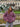 ARIA Fuzzy Knit